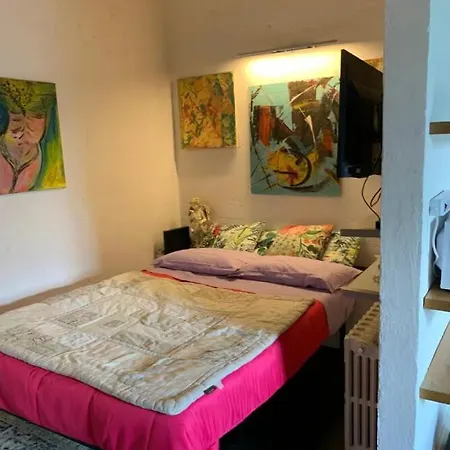 Cozy In Oltrarno Area * Firenze